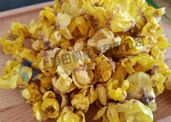 臘梅花凍干，鮮花冷凍干燥機