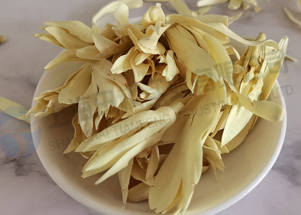 白玉蘭凍干，鮮花凍干機應用于白玉蘭真空冷凍干燥